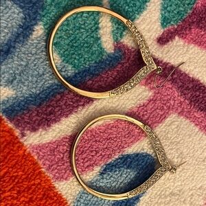 Elegant Gold and Silver Hoop Earrings